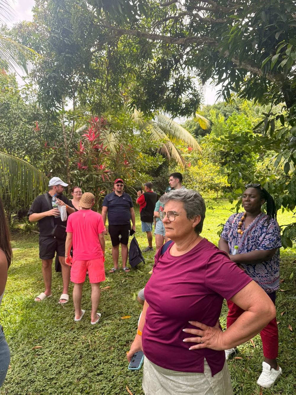 Visite guidée d'une plantation tropicale
