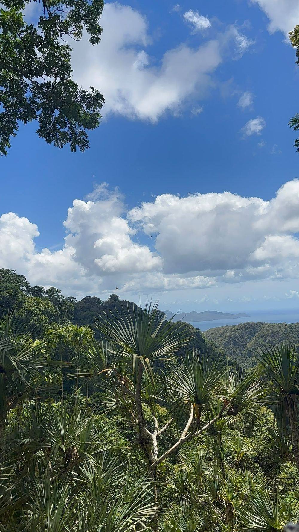 Vue sur la mer depuis les hauteurs